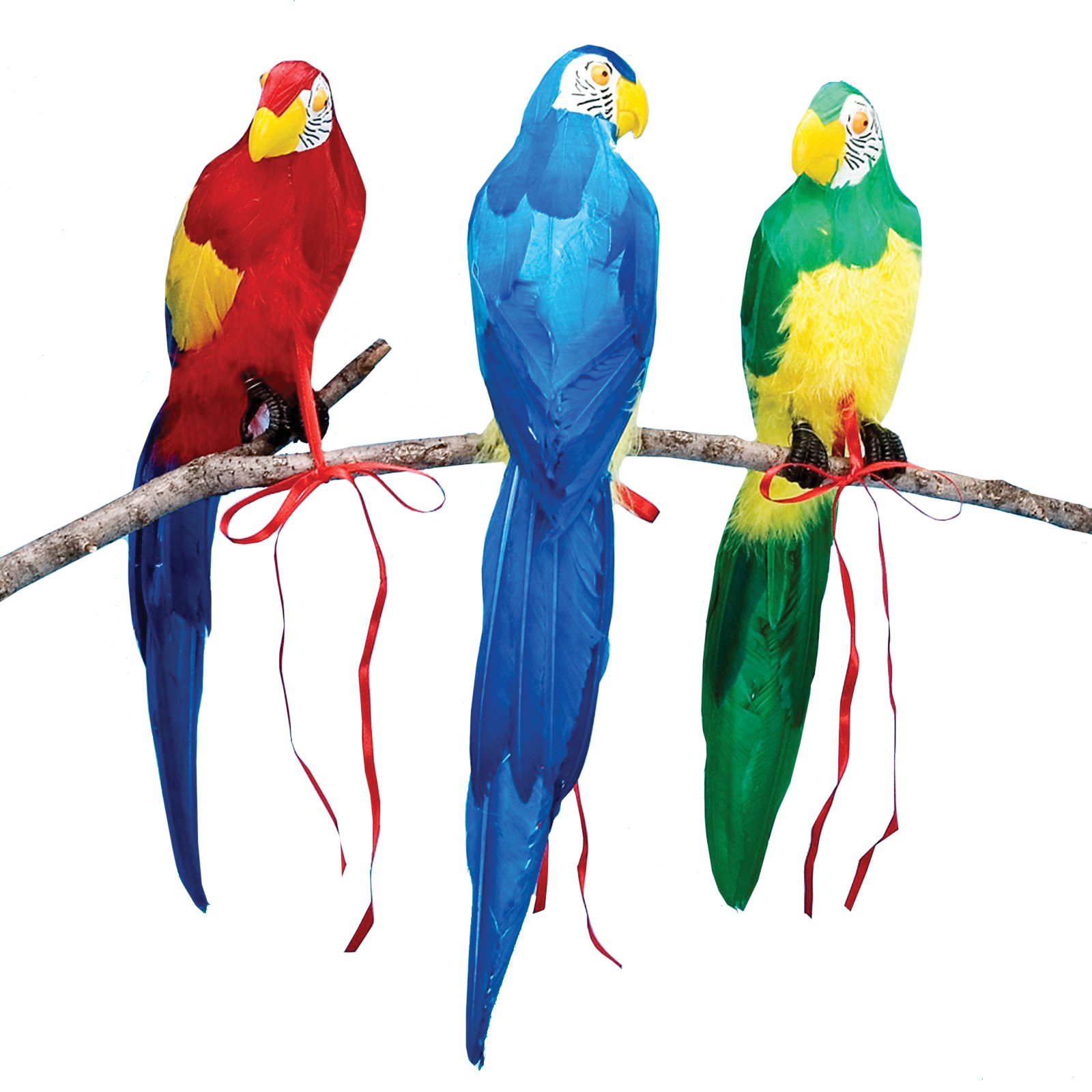 Три попугая