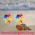 Hawaii polsbandjes